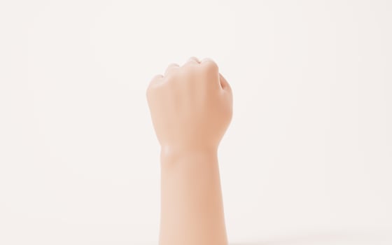 Hand gesture isolated on white background, 3d rendering. photo