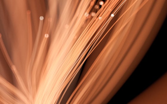 Flowing neon curve lines background, 3d rendering. photo