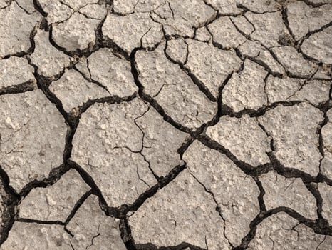 close up dry cracked ground texture photo
