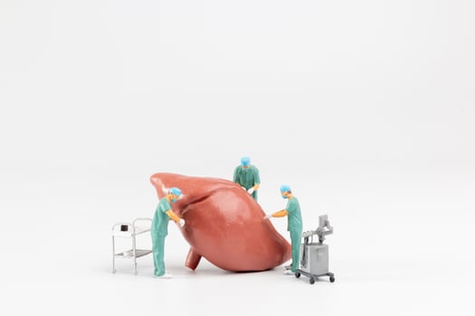 Miniature people, Doctor and nurse medical team are performing surgical operation at emergency room photo