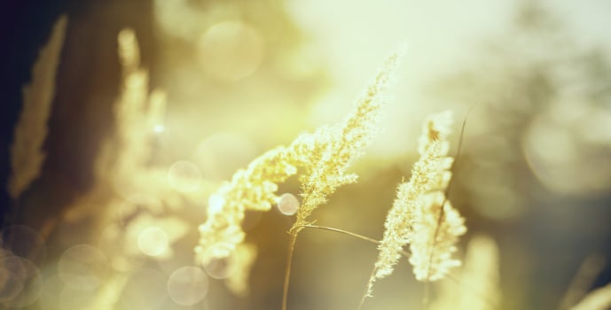 Art blurred autumn sunny nature landscape background photo