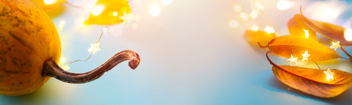 Art happy Thanksgiving banner design. pumpkin and autumn yellow leaves and festive lights on a blue background photo