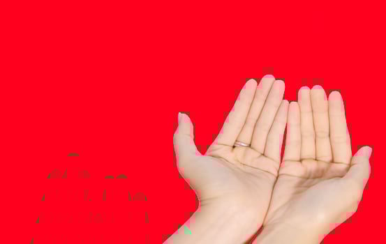 two empty female beautiful hands open with palms up closeup of top view isolated on white background photo