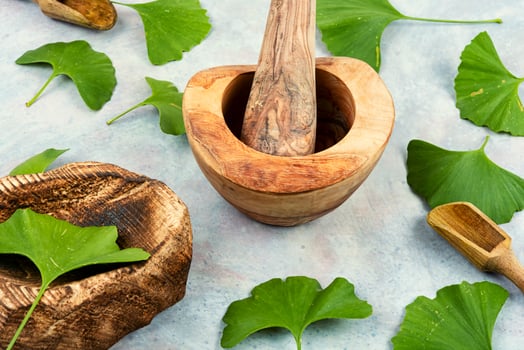 Ginkgo biloba leaves, medicines. photo