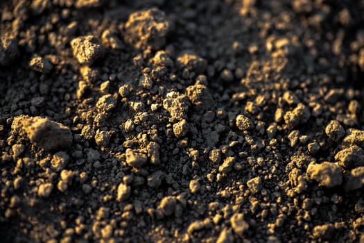 Black earth with sunlit ground mounds. ground before planting seeds and growing vegetables or soybeans. photo