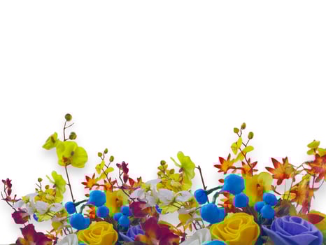 flowers on a transparent background photo