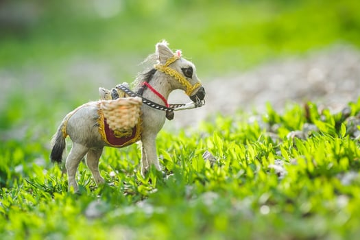 A donkey in a clearing of green grass. A loaded donkey on a green background. photo