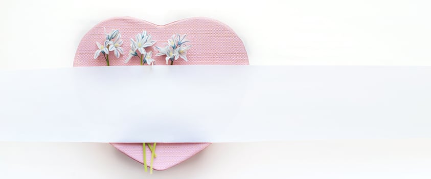 bouquet Fresh blue spring flowers Scilla siberica. on pink heart-shaped box. White stripe for text. Copy space. aster, 8 march, mother's day, St. Valentine spring background photo