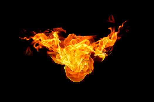 Fire flames on a black background photo