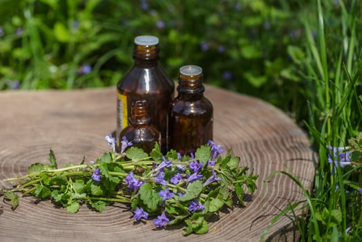 Two pharmaceutical bottle of medicine from Glechoma hederacea, Nepeta hederacea, ground-ivy, catsfoot, field balm, and run-away-robin, creeping jenny next to a bunch on green background. Preparation of medicinal plants. Ready potion of grass. Ethnoscience photo
