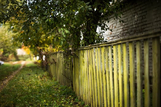 Old wooden green fence. Autumn road in the village. photo