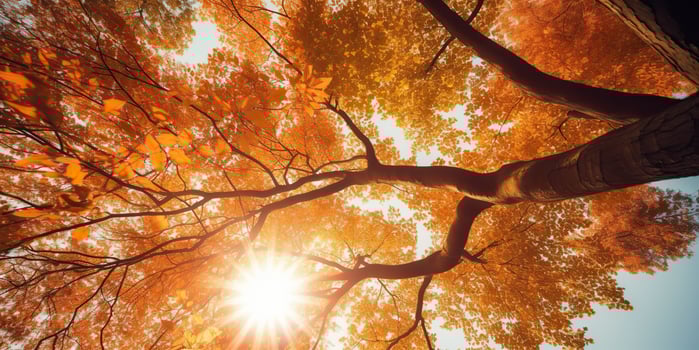 AI Generated. AI Generative. Autumn fall forest tree bottom view to the sky. Graphic Art photo