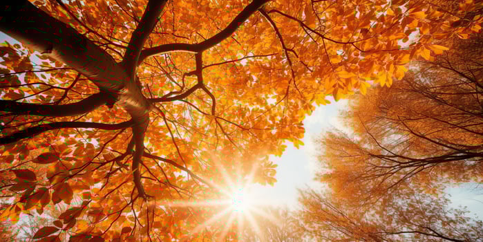 AI Generated. AI Generative. Autumn fall forest tree bottom view to the sky. Graphic Art photo