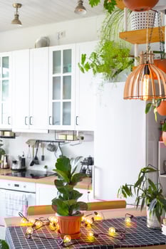Light white modern rustic kitchen decorated with potted plants, loft-style kitchen utensils. Interior of a house with homeplants photo