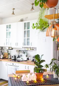Light white modern rustic kitchen decorated with potted plants, loft-style kitchen utensils. Interior of a house with homeplants photo