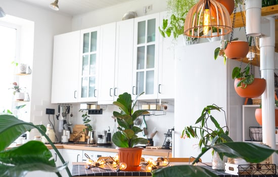 The general plan of a light white modern rustic kitchen with a modular metal staircase decorated with potted plants. Interior of a house with homeplants photo