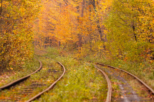 autumn forest among which goes a strange tram photo