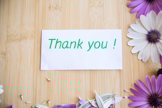 Beautiful white and purple Osteospermum flowers on a wooden photo