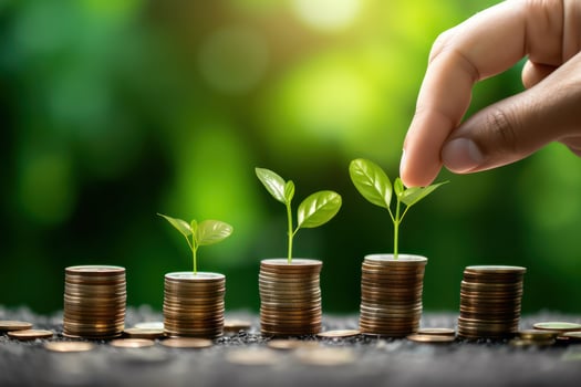 Investment concept, Sapling growing from pile of coin to money photo