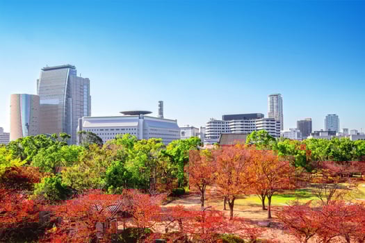 landscape of Osaka city photo