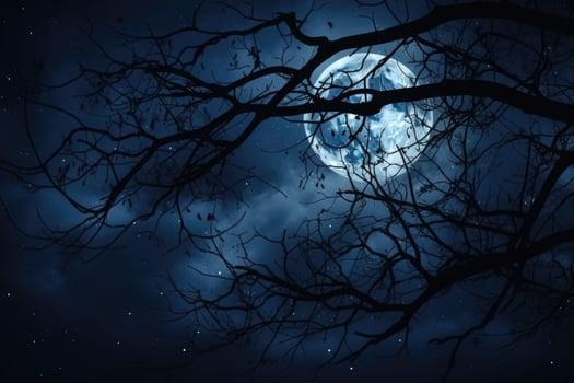 Night dark sky with full moon and branches. Tree branches in the moonlight on a dark background. Generative AI photo