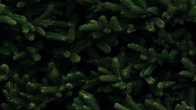 photo of Christmas decorations, AI Generated.