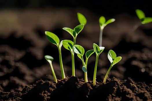 a group of young plants growing in the dirt. AI-Generated photo