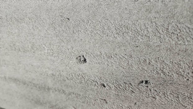 a close up of a concrete wall with holes photo