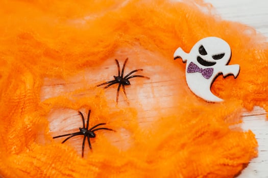 Toy Halloween Pumpkins with Felt and Faux Spider Web Festive Decor Party Accessories photo