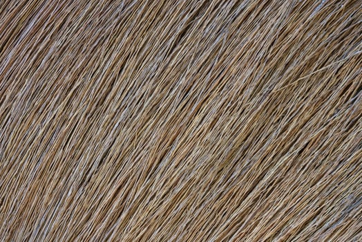 The background image is from the floor broom panel. photo