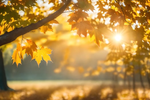 autumn leaves in the sun. AI-Generated photo