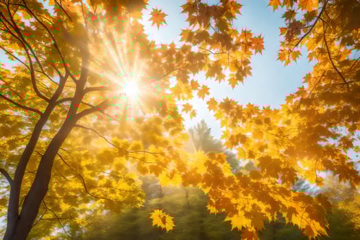 autumn leaves in the sun. AI-Generated photo