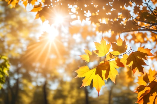 autumn leaves in the sun. AI-Generated photo
