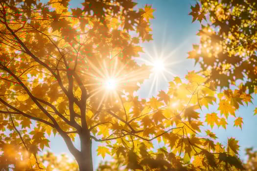 autumn leaves on a tree with the sun shining through. AI-Generated photo