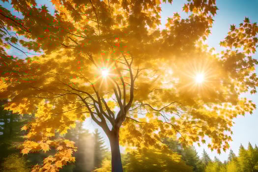 the sun shines through the leaves of a tree in the autumn. AI-Generated photo