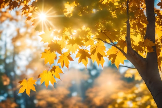 autumn leaves in the sun with the sun shining through. AI-Generated photo