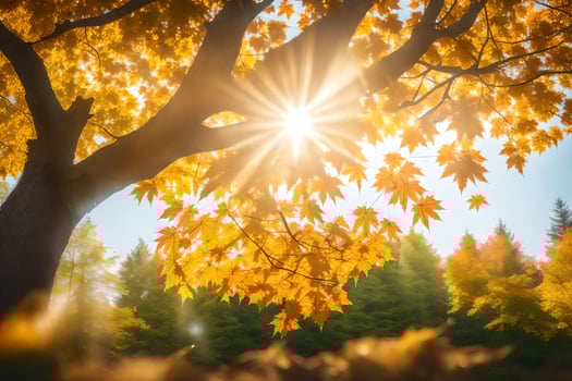 autumn leaves on a tree in the sun. AI-Generated photo