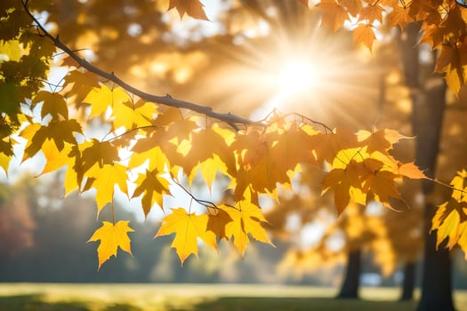 autumn leaves in the sun. AI-Generated photo