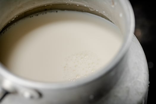 Fresh milk in a can on the table. photo