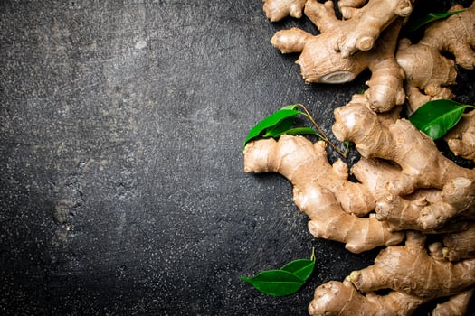 Fresh ginger root with leaves. photo