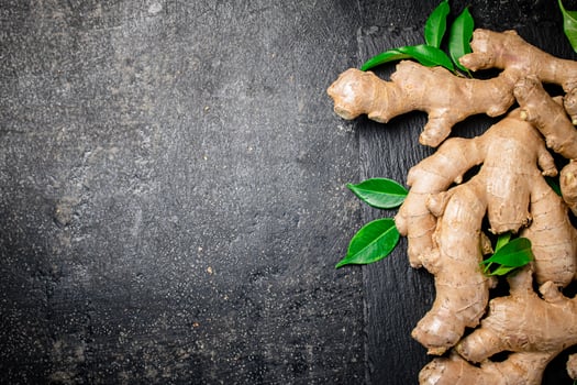 Fresh ginger root with leaves. photo