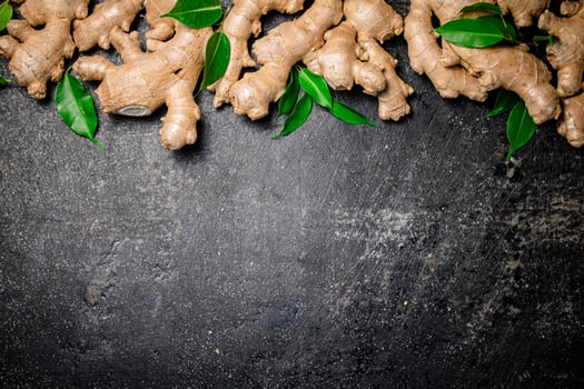 Fresh ginger root with leaves. photo