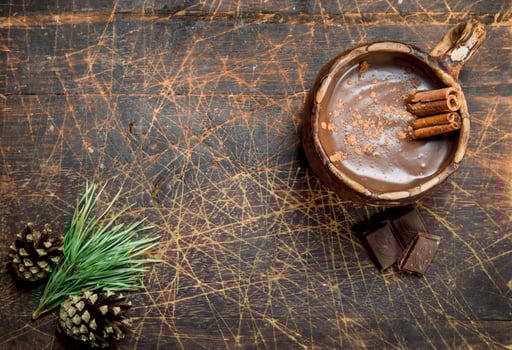 Cup of hot chocolate with cinnamon sticks. photo