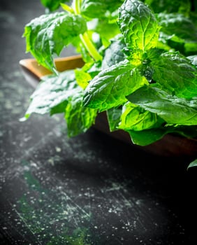 Healthy food. Fresh mint. photo