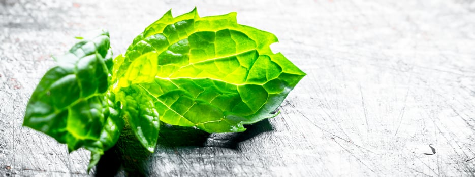 Leaves of fresh green mint. photo