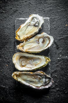 Opened fresh oysters on a stone stand. photo