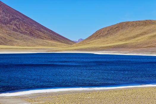 Miniques Altiplanic Lagoon in the Atacama Desert - San Pedro de Atacama. photo