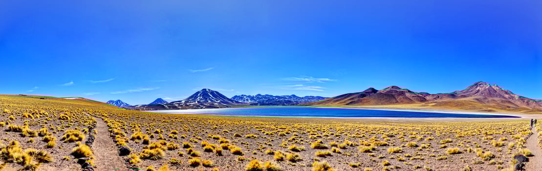 Miscanti Altiplanic Lagoon in the Atacama Desert - San Pedro de Atacama. photo