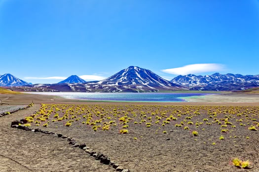 Miscanti Altiplanic Lagoon in the Atacama Desert - San Pedro de Atacama. photo