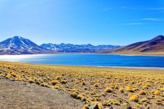 Miscanti Altiplanic Lagoon in the Atacama Desert - San Pedro de Atacama. photo